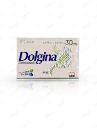 Dolgina